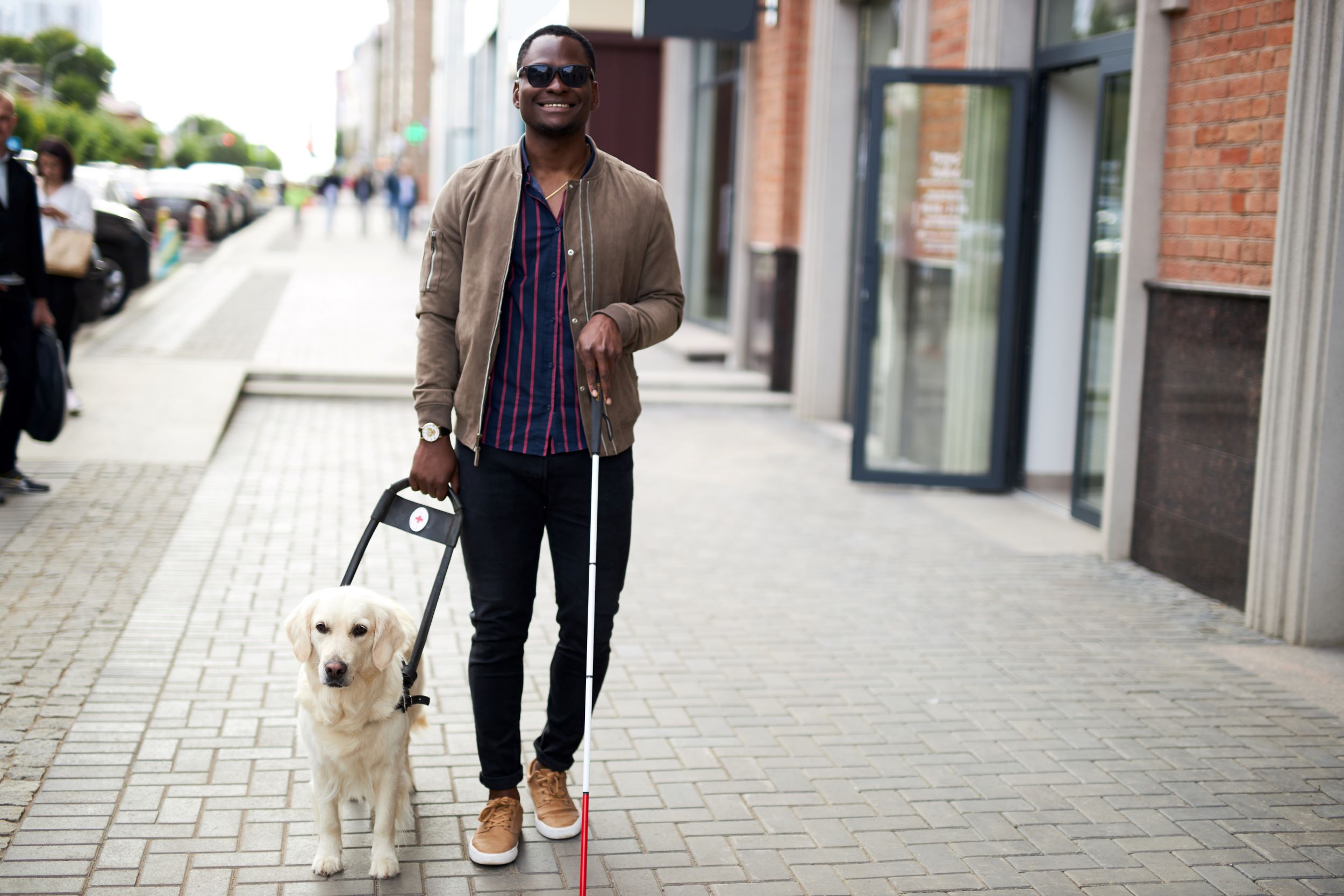 A young man walking with a stick and being assisted by a guide dog