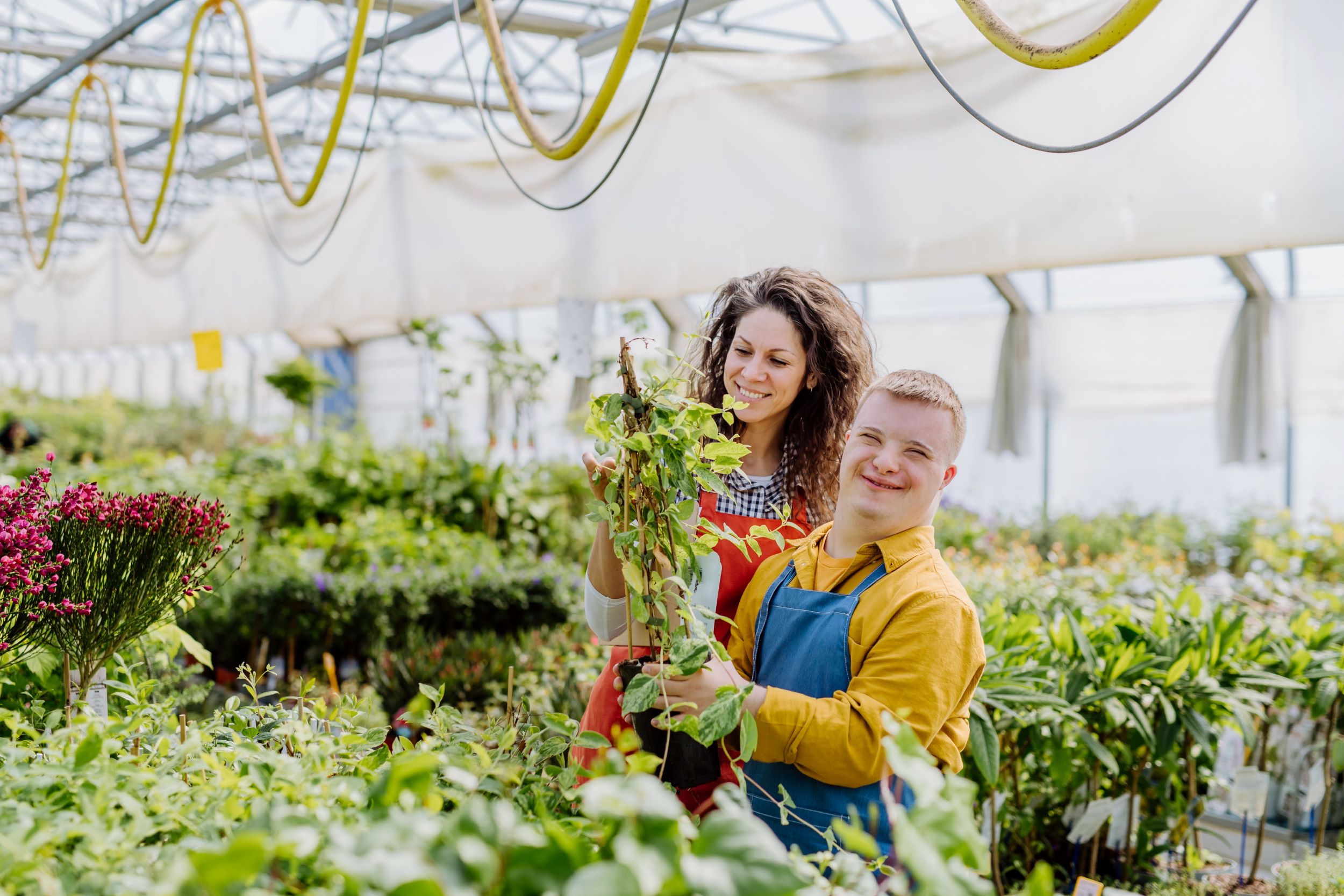 Two adults smiling, one is supporting the other to work in a garden centre. They're holding plants and wearing aprons